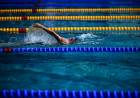 DEPORTES Y DISCIPLINAS DE LOS JUEGOS OLÍMPICOS PARÍS 2024