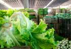 SUBA DE LAS VERDURAS LE PONE PRESIÓN AL IPC