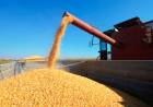 TRACCIONADAS POR LOS PRODUCTOS PRIMARIOS, LAS EXPORTACIONES CRECIERON UN 65,1%