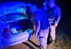 PRETENDIA ESCAPAR DE UN CONTROL CON UN ANIMAL VACUNO PERO TERMINÓ DETENIDO