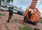 RURALES SECUESTRARON TRES EQUINOS SUELTOS EN LA VÍA PÚBLICA