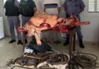 180 KILOS DE CARNE VACUNA FUERON INCAUTADOS TRAS UN ALLANAMIENTO POR SUPUESTO ABIGEATO