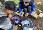 EN CONTROL VEHICULAR SECUESTRARON MÁS DE UN KILO DE MARIHUANA Y UN ENVOLTORIO CON COCAÍNA