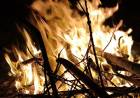PREVENCIÓN: LA MEJOR HERRAMIENTA CONTRA LOS INCENDIOS FORESTALES