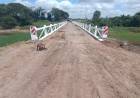 EL GOBIERNO PROVINCIAL HABILITÓ EL PUENTE BERGAGNO QUE UNE PUERTO TIROL CON FONTANA