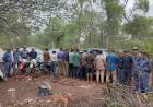 RURALES HACEN FRENTE AL TRÁFICO Y TALA ÍLEGAL DE MADERA