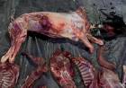 DECOMISARON ANIMALES FAENADOS Y ARMAS EN OPERATIVO DE PREVENCIÓN