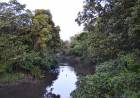 LA LEY NACIONAL DE BOSQUES 26.331 ES DE SUMA IMPORTANCIA PARA LA PROVINCIA DEL CHACO