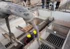SAMEEP AVANZA EN LA PLANTA POTABILIZADORA 2 PARA MEJORAR EL CAUDAL Y LA CALIDAD DEL AGUA