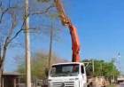 ADIÓS A LOS POSTES DE MADERA: MODERNA INFRAESTRUCTURA ELÉCTRICA Y RESISTENTE PARA CASTELLI