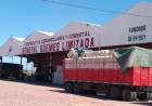 EL ALGODÓN NO TUVO UN BUEN AÑO PERO LAS EXPECTATIVAS SE RENUEVAN