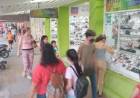 SE VA OCTUBRE Y LAS VENTAS EN COMERCIOS NO LOGRAN REPONERSE EN EL INTERIOR DEL CHACO