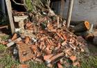 DESARROLLO HUMANO INTENSIFICA LA ASISTENCIA EN COLONIA BENÍTEZ Y EN EL SUDOESTE, TRAS EL TEMPORAL PASADO