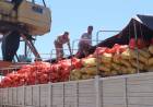 HISTÓRICO: EL PUERTO DE BARRANQUERAS ENVÍA A URUGUAY SU PRIMERA CARGA DE ZAPALLO CHAQUEÑO