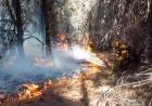 EN MEDIO DE LOS INCENDIOS, EL GOBIERNO GIRA $ 120.000 MILLONES A LOS BOMBEROS
