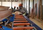 SEMANA CLAVE PARA EL SECTOR QUE SE PIERDE DE GENERAR 30.000 MILLONES DE PESOS MENSUALES