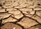 ECONOMÍA PRORROGA LA EMERGENCIA AGROPECUARIA POR SEQUÍA EN NUEVE DISTRITOS DE SANTA FE