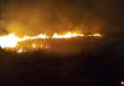 BOMBEROS CONTROLARON INCENDIO DE GRAN MAGNITUD SOBRE RUTA 11