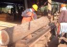 ENTRE EL DIÁLOGO Y LA INCERTIDUMBRE: EL SECTOR FORESTAL CHAQUEÑO BUSCA REACTIVARSE