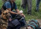 CHACO REFUERZA LOS OPERATIVOS ANTIDROGAS Y AFIANZA RESULTADOS CONTRA EL NARCOTRÁFICO