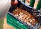 CATARATAS: ENCONTRARON 400 KILOS DE MONEDAS EN EL RÍO Y LANZAN ADVERTENCIA A TURISTAS