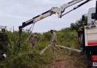 PROGRAMA LUZ RURAL: AVANZAN NUEVAS OBRAS DE ELECTRIFICACIÓN EN PARAJES DE PAMPA DEL INDIO