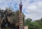 SECHEEP AMPLÍA EL SERVICIO ELÉCTRICO EN EL PARAJE LAS HACHERAS Y SUMA NUEVOS USUARIOS A LA RED