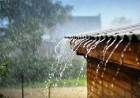 LA PROVINCIA ARGENTINA DONDE MAS LLUEVE: CÓMO ES VIVIR EN EL LUGAR MAS HÚMEDO DEL PAÍS