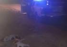 "SÍ, YO LOS MATÉ": DETUVIERON A UN HOMBRE TRAS CONFESAR QUE AHORCÓ Y GOLPEÓ HASTA LA MUERTE A SUS DOS PERROS
