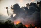 INCENDIO FORESTAL DEJA DECENAS DE VÍCTIMAS EN EL SUR DE ESPAÑA