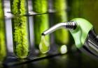 IMPACTO EN LOS SURTIDORES: ENERGÍA AUTORIZÓ SUBAS DE HASTA 4% EN LOS BIOCOMBUSTIBLES