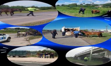 POLICÍA CAMINERA CONTINÚA LA TOMA DE ACCIONES SOBRE ESTA PROBLEMÁTICA DEL TRÁNSITO