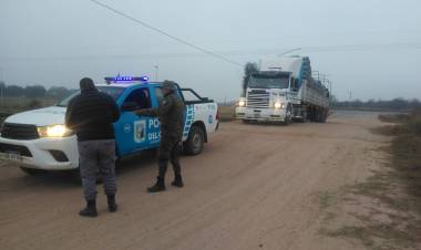 EN UN CAMINO VECINAL SECUESTRARON 14 TONELADAS DE CARBÓN EN BOLSA
