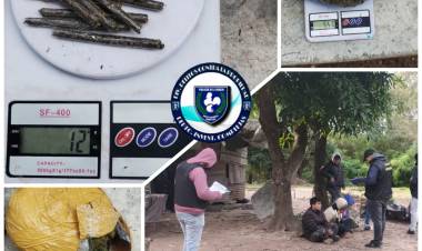 ALLANAMIENTO: SECUESTRARON DROGA Y FOCOS DE ALUMBRADO PÚBLICO Ta
