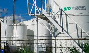 VOLVIERON A SUBIR LOS BIOCOMBUSTIBLES