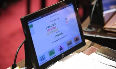 LEY BASES: CÓMO QUEDÓ EL RIGI TRAS LOS CAMBIOS EN EL SENADO