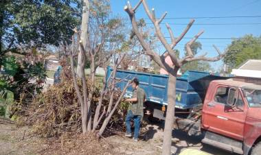 VILLA ÁNGELA: INTERVENCIÓN MUNICIPAL DE BACHEO, RECOLECCIÓN DE RAMAS Y LIMPIEZA