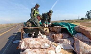 GENDARMERÍA DEMORÓ A UN CAMIÓN QUE LLEVABA 6 TONELADAS DE DROGA EN UN CARGAMENTO DE MANDIOCA