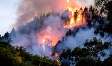 LOS INCENDIOS FORESTALES EXTREMOS SE HAN DUPLICADO EN LOS ÚLTIMOS 20 AÑOS