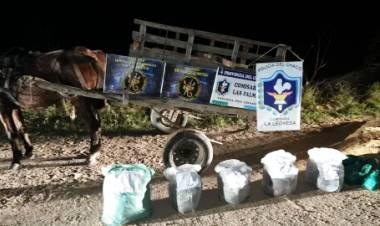   ASERRÍN VERDE: EN UN CARRO TRANSPORTABAN 20 KILOS DE MARIHUANA EN LAS PALMAS