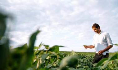EL CONSEJO PROFESIONAL DE INGENIEROS AGRÓNOMOS DEL CHACO APOYA EL OTBN