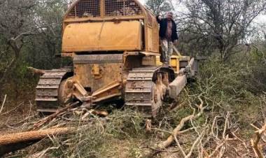 EL GOBIERNO DESMIENTE CIFRAS SOBRE DESMONTES EN EL CHACO DIFUNDIDAS POR GREENPEACE