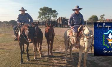 LOS EQUINOS QUE DEAMBULABAN POR LA VIA PUBLICA FUERON INCAUTADOS