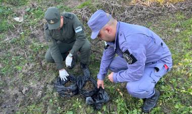 TIRARON DOS BOLSAS CON COGOLLOS DE MARIHUANA AL VER A LA POLICIA Y GENDARMERIA