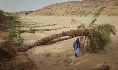CAMBIO CLIMÁTICO: LA INTELIGENCIA ARTIFICIAL, UNA PROMESA CONVERTIDA EN AMENAZA 