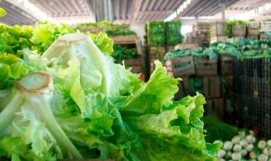 REPUNTE DE PRECIOS PARA LOS ALIMENTOS