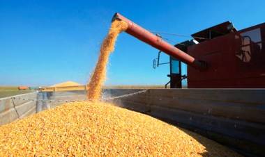 TRACCIONADAS POR LOS PRODUCTOS PRIMARIOS, LAS EXPORTACIONES CRECIERON UN 65,1%