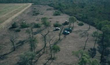CAUTELAR PONE FRENO A DESMONTES EN EL CHACO POR NOVENTA DÍAS