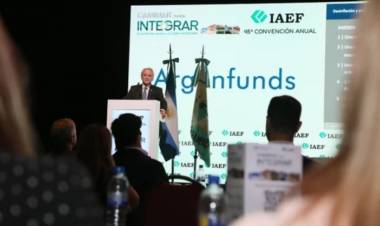 EL VICEPRESIDENTE DEL BANCO CENTRAL, EN EL IAEF: "NOSOTROS NOS ENAMORAMOS DE MUJERES, NO DEL CEPO"