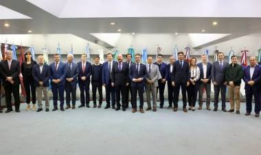 CON RECLAMOS A MILEI, GOBERNADORES DE 23 PROVINCIAS ACORDARON LA CONTINUIDAD DE UN PERONISTA AL FRENTE DEL CFI
